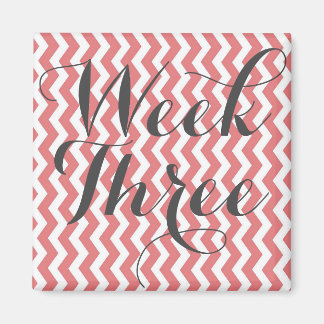 Íman Semana Três Magnetos