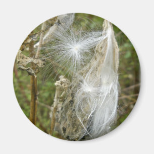 Íman Sementes De Milkweed Coordenando Itens