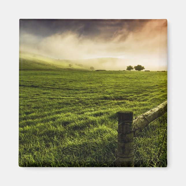 Íman Sempre mais verde do outro lado (Frente)