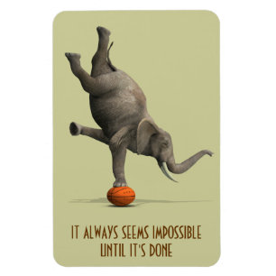 Íman Sempre parece impossível até que seja feito