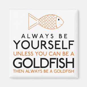 Íman Sempre Seja Você Mesmo A Não Ser Que Possa Ser Um