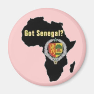 ÍMAN SENEGAL/T-SHIRT SENEGALÊS DA BANDEIRA E ETC.