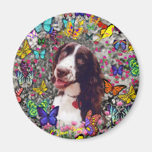 Íman Senhora nas borboletas - cão do Spaniel de