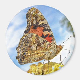 Íman Senhora pintada borboleta Ímã