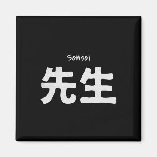 Íman Sensei Karate Teacher - Treinando Artes Marciais D
