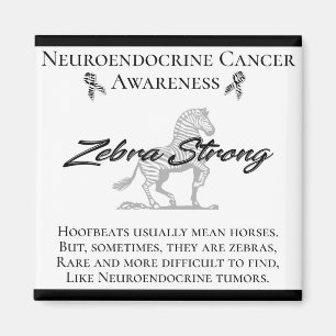 Íman Sensibilização dos Canceres neuroendócrinos Zeb
