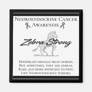 Íman Sensibilização dos Canceres neuroendócrinos Zeb