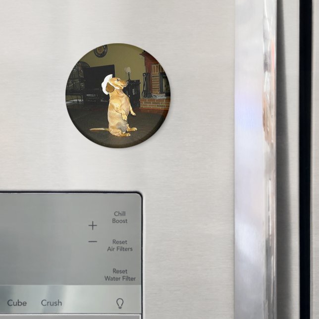 Íman Sentado Bonito ou assistindo TV Dachshund (In Situ (Fridge))