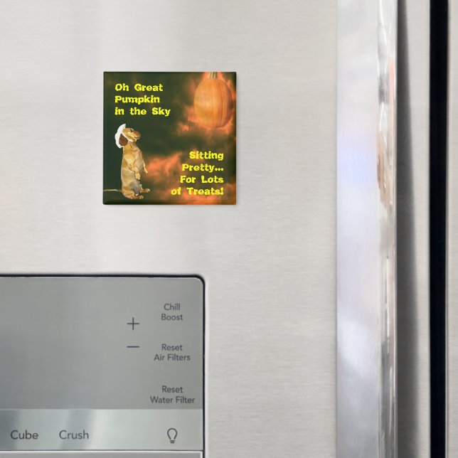 Íman Sentado Bonito para muitos tratamentos (In Situ (Fridge))