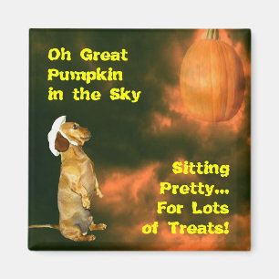 Íman Sentado Bonito para muitos tratamentos