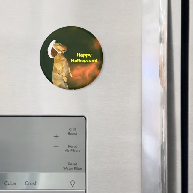 Íman Sentado Bonito para muitos tratamentos (In Situ (Fridge))