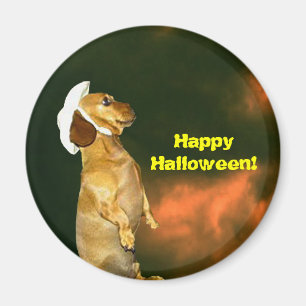 Íman Sentado Bonito para muitos tratamentos