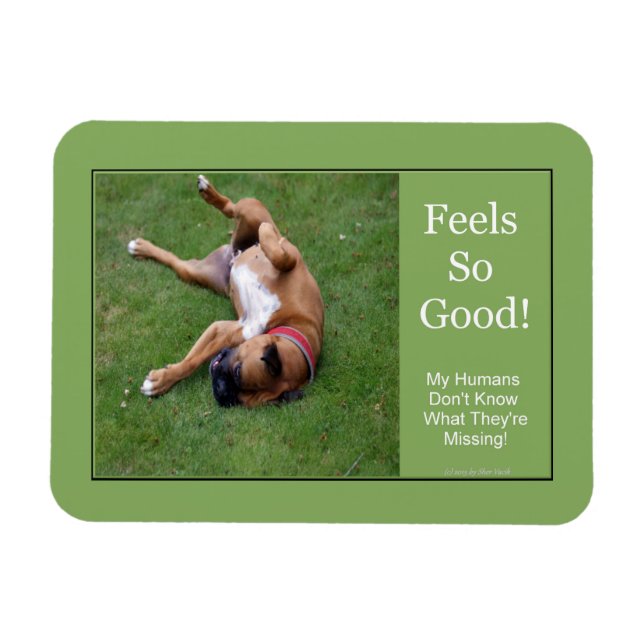 Íman Sente-Se Tão Bem. (Horizontal)