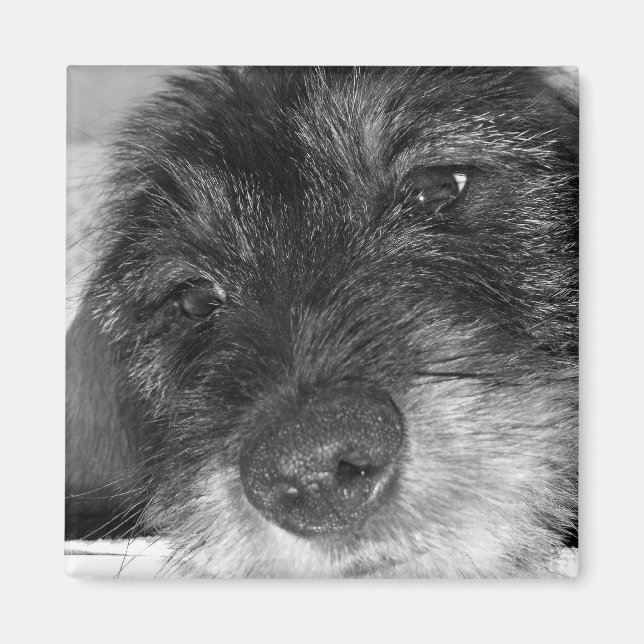 Íman Sentimental (Frente)