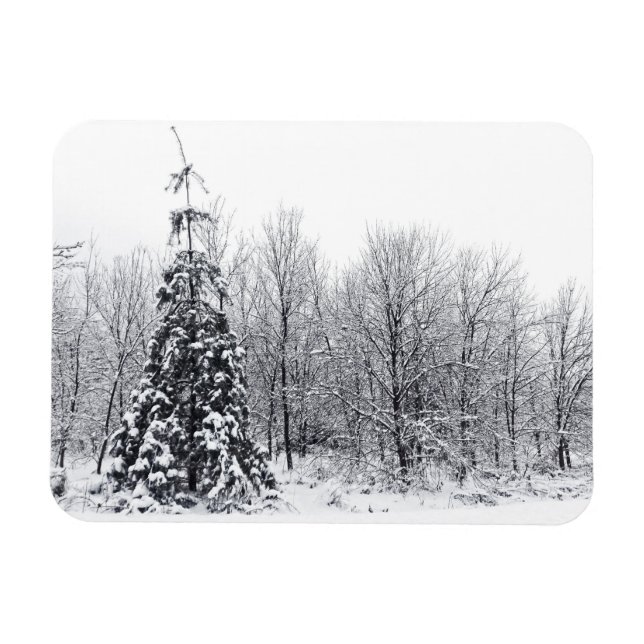 Íman separação com certeza (Horizontal)