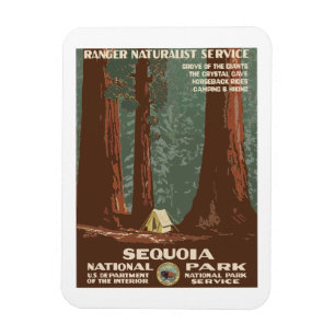 Íman Sequoia National Park EUA Viagens vintage