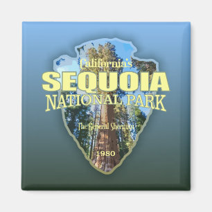 Íman Sequoia NP (seta)