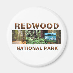 Íman Sequóia vermelha de ABH