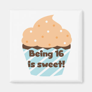 Íman Ser 16 é camisas e presentes doces do aniversári