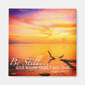 Íman Ser Ainda Magnético