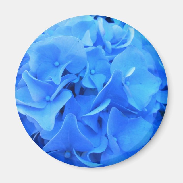 Íman Seraphine (Frente)