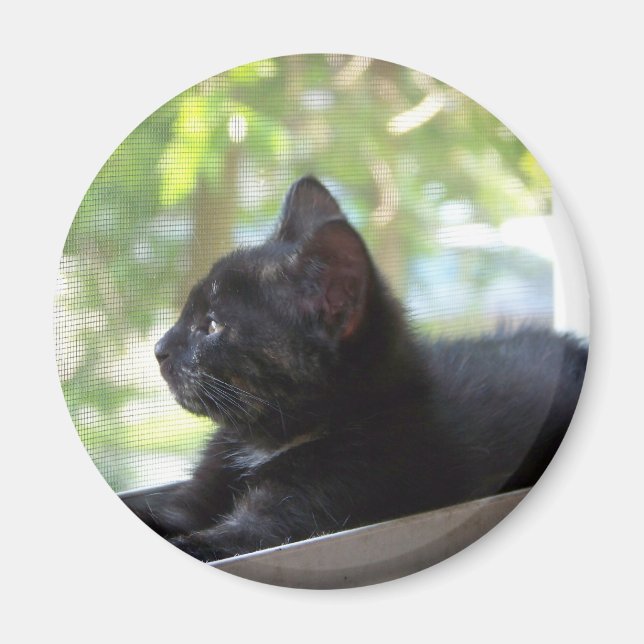 Íman Serene (Frente)