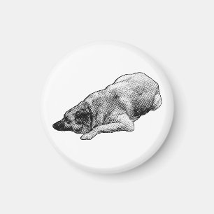 Íman Serene Dot Dog Promove Calma Em Espaços de Férias