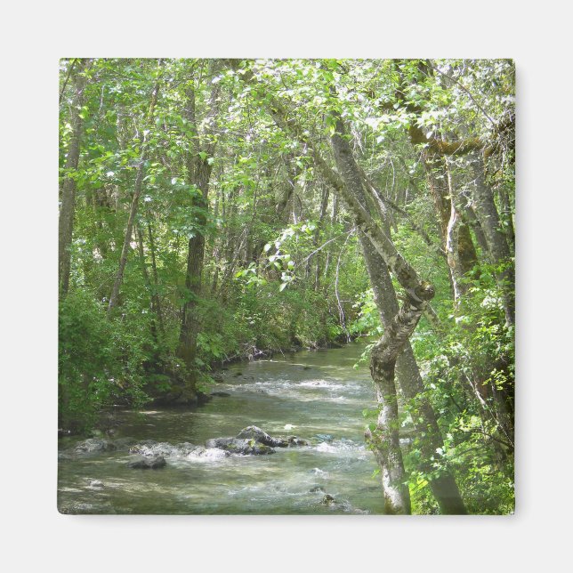 Íman Serenidade.... (Frente)