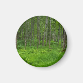Íman Serenidade da Floresta Verde Vibrante