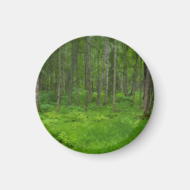 Íman Serenidade da Floresta Verde Vibrante (Frente)