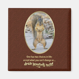 Íman Serenity Prayer em uma casca