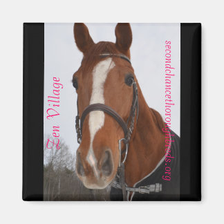 Íman Série Collectible Magnet - Aldeia Zen