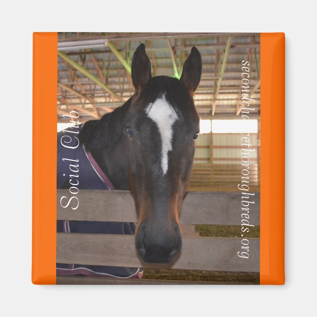 Íman Série Collectible Magnet - Clube Social (Frente)