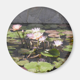 Íman Série de Buquês da Natureza: Imã de Verão