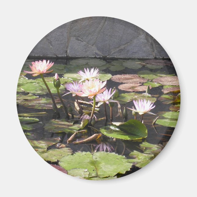 Íman Série de Buquês da Natureza: Imã de Verão (Frente)