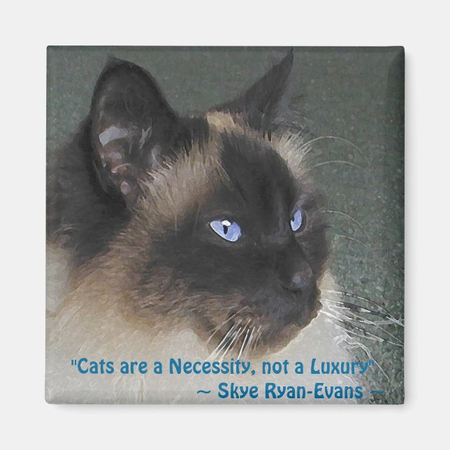 Íman Série Magnet BIRMAN RAGDOLL CAT (Frente)