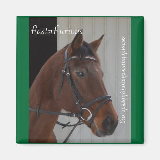 Íman Série Magnet Coleccional - FastnFurioso