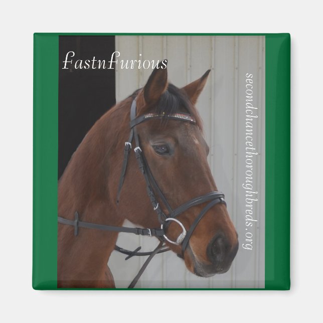 Íman Série Magnet Coleccional - FastnFurioso (Frente)