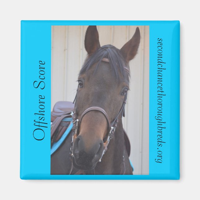 Íman Série Magnet Colecionável - Pontuação Offshore (Frente)