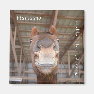 Íman Série Magnet Coletável - Navedano