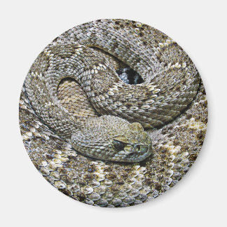 Íman Serpente