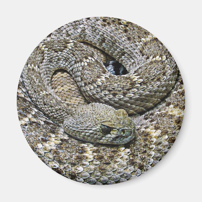 Íman Serpente (Frente)