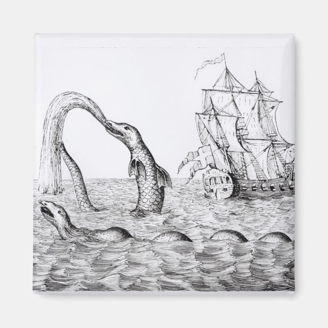 Íman Serpente do Mar (Frente)