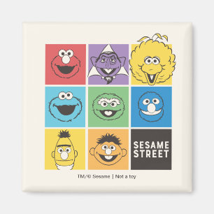 Íman Sésamo Street Pals Blocos de cores