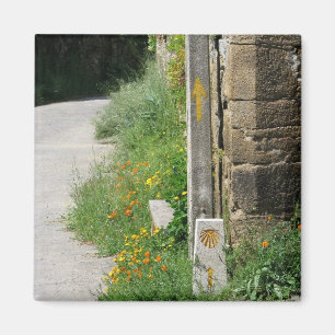 Íman Setas e ímã de Shell