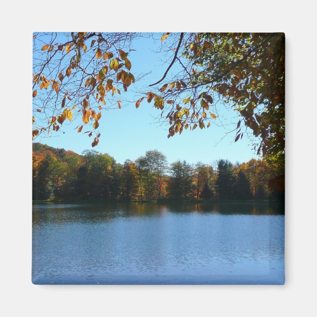 Íman Sete Primaveras Caindo Árvores e Pond (Frente)