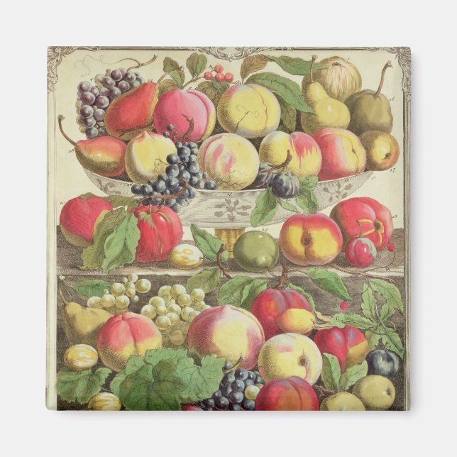 Íman Setembro, de doze meses de Fruta (Frente)