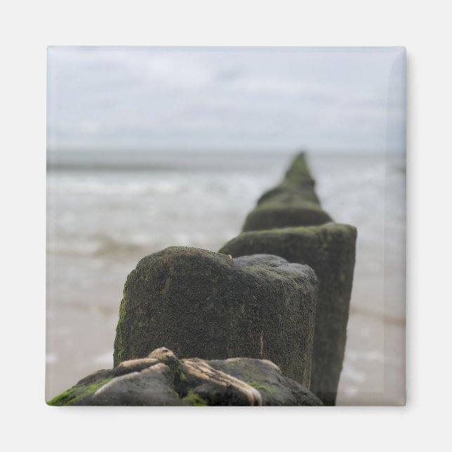 Íman Setentrional (Frente)