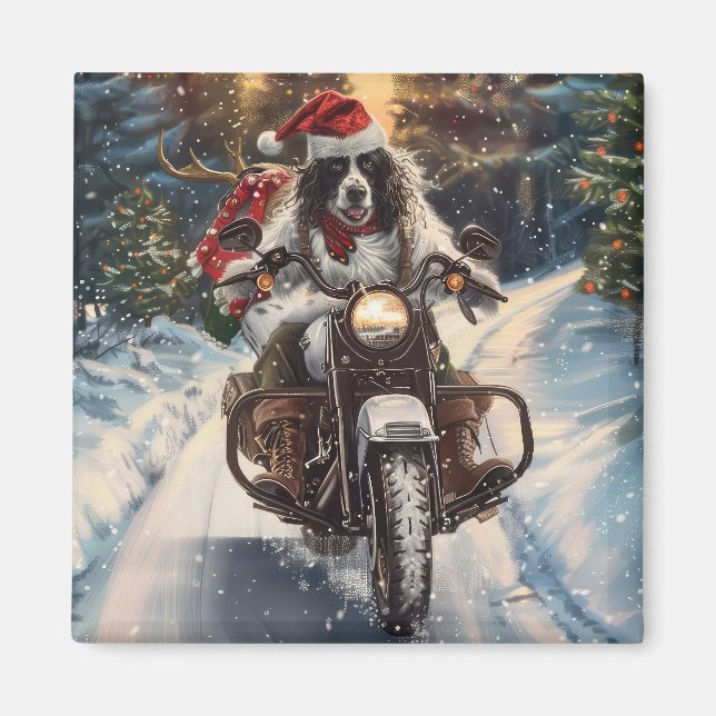 Íman Setter Inglês Cachorro Pilotando Moto Natal (Frente)