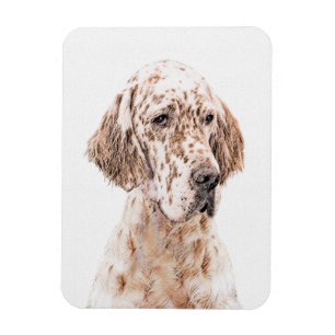 Íman Setter Inglês Laranja Belton - Pintura de Cão